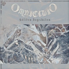 Sólidos Ingrávidos