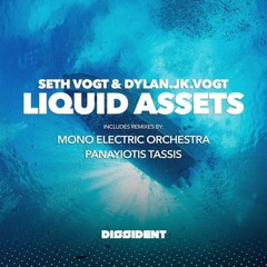 Seth Vogt _ Dylan JK Vogt - Liquid Assets (Panayiotis Tassis remix)