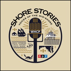 Shore Stories