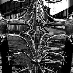 Extremity