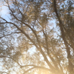 devastated demo(prod. beats by hills)