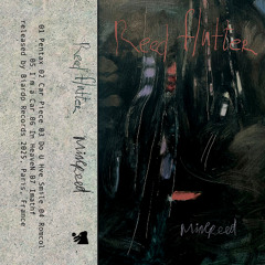 PREMIERE: minereed - In HeaveN (biardo records)