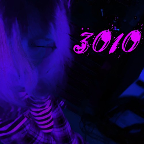 3010