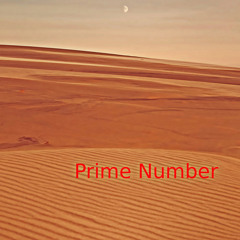 Prime Number