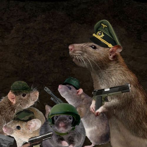 Trench Rats