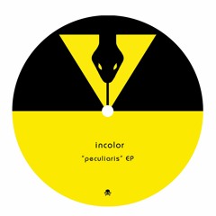 A. incolor - Villher [VNML01]