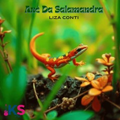Axé da Salamandra