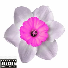 Narcissus & Lilac