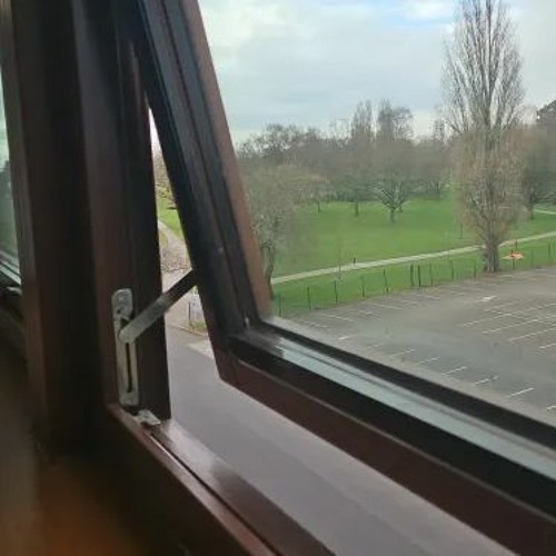 looking out the window