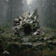 Naden - All I See