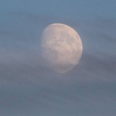 The Moon On The Roll and Beyond