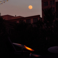 Vintage Dreamland (Instrumental)