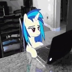 lit web shit 8!