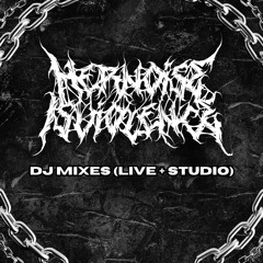 Her Noise Is Violence (DJ MIXES)