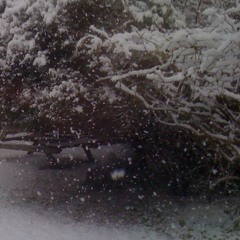 Herr Berg's Snowstorm