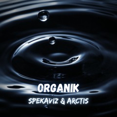 ORGANIK (Ft. SpekaviZ)