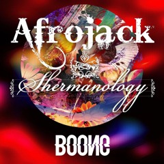 Can't Stop Me (BOONG Remix) - Afrojack & Shermanology