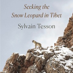 Read The Art of Patience: Seeking the Snow Leopard in Tibet For Free