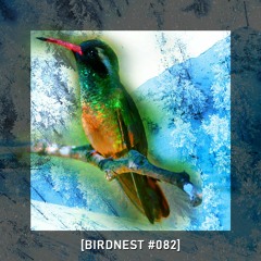 BIRDNEST #082 | Message from Mars | Podcast by The Lahar