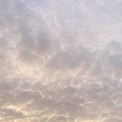 IN MY ROOM REMIX - KZL & JAMAL