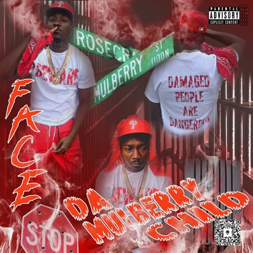 Flatline x BOLO