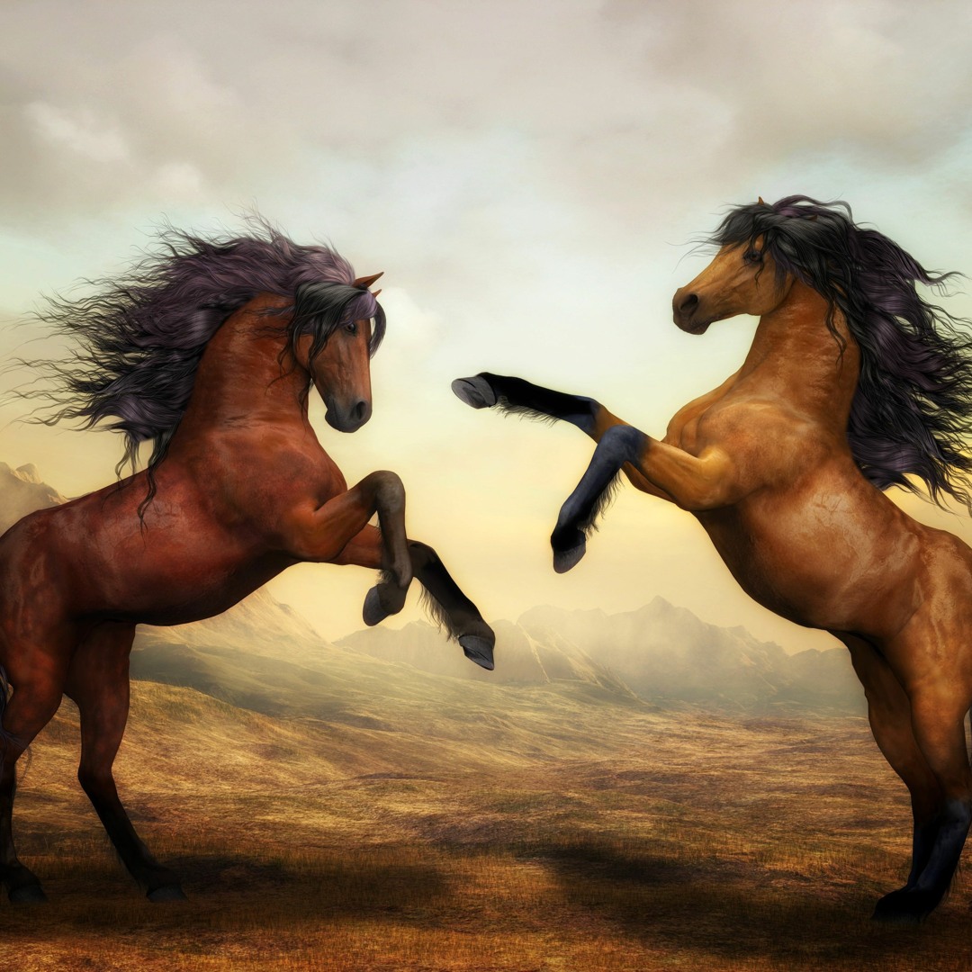Stream All The King's Horses (FREE DOWNLOAD) by Savfk