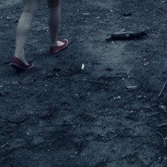 deep blacks & euphorics