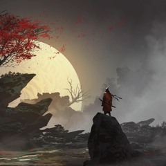 Samurai In A Knights World