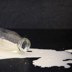 Sweet Trip - Milk (Cover)