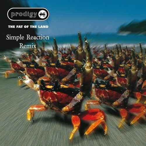 The Prodigy - Breathe -(Simple Reaction remix)
