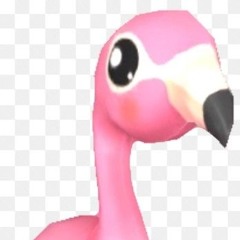 ITS SO HYPE IN THIS BITCH !!!!11!!!1!