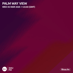 Palm Way View - 05 March 2025