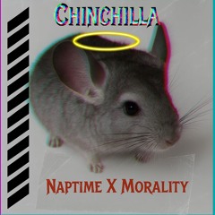 Chinchilla X Naptime
