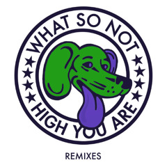 High You Are - WhatSoNot (Branchez Remix) ( shire house flip )