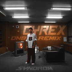 Viktor Sheen - Syndrom (CYREX DNB REMIX)