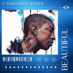 Pharrell - Beautiful [Camisado Remix]