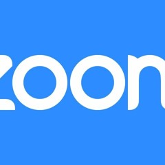 Zoom De Instalación