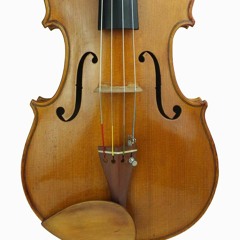 The Happy Viola Song - D.S.