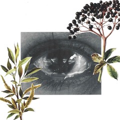 Glass Eyes - Radiohead