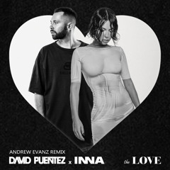 David Puentez & INNA - The Love (Andrew Evanz Remix)