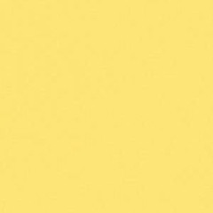 Ugly Beauty/Exacated Shells