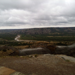 In the Wilderness