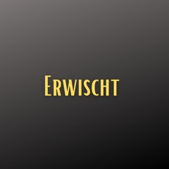 Erwischt (Pastiche/Remix/Mashup)