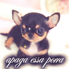 DERRUBARAO O MEU FEIN