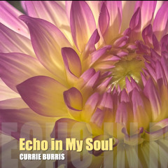 Echo in My Soul