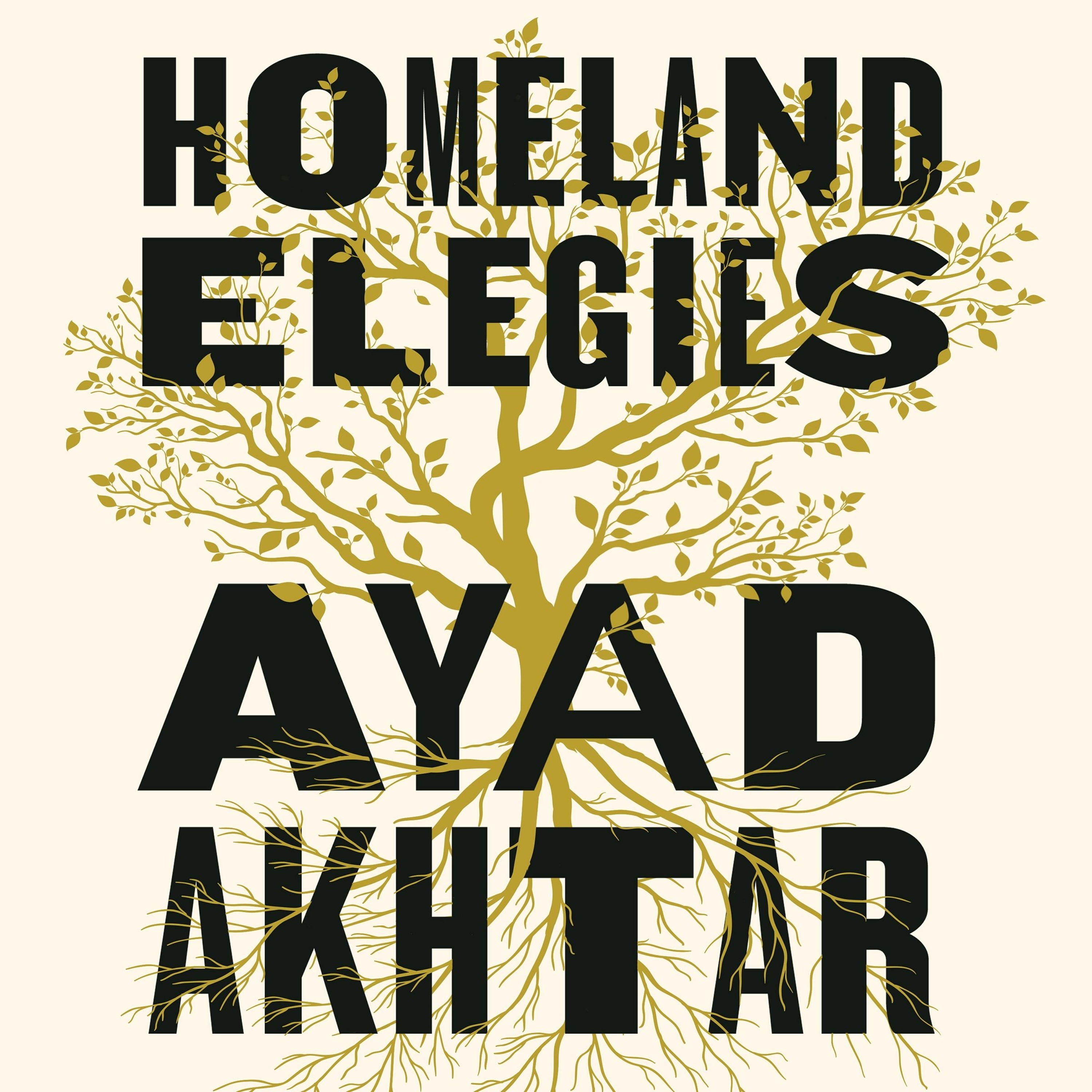 cover of episode HOMELAND ELEGIES, written and read by Ayad Akhtar - Audiobook extract