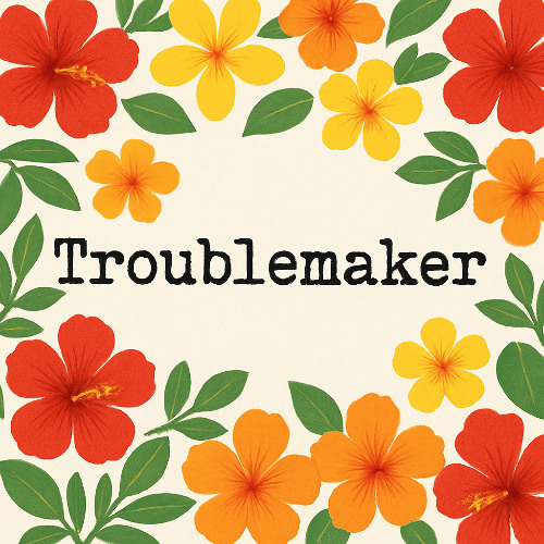 Troublemaker