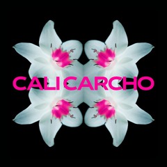 Rave in der Röhre - Cali Caracho Solid Hard Groove Set