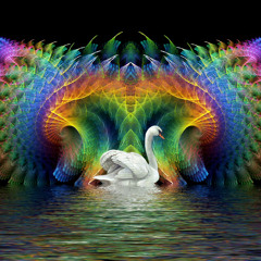 The Ugly Duckling’s Big Day