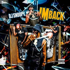Dj Snoopy - Im Back (official Audio)